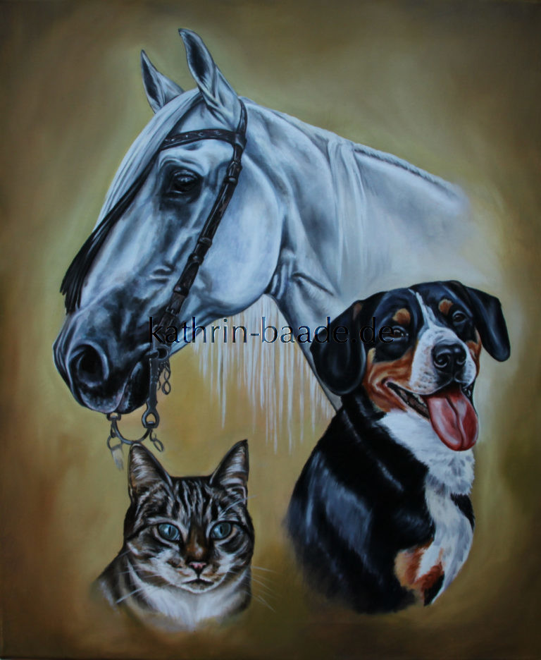 Pferd, Hund, Katze in Öl | Tierportraits Kathrin-Baade.de